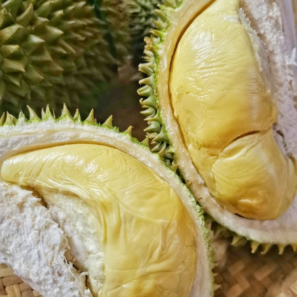 Sầu Riêng Truyền Thống VIP (Sầu riêng ăn không ngon bao đổi trả)