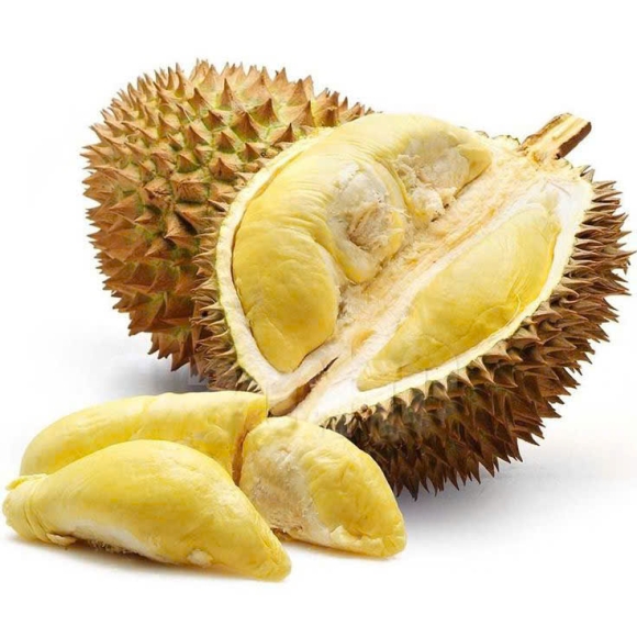 Sầu Riêng Truyền Thống