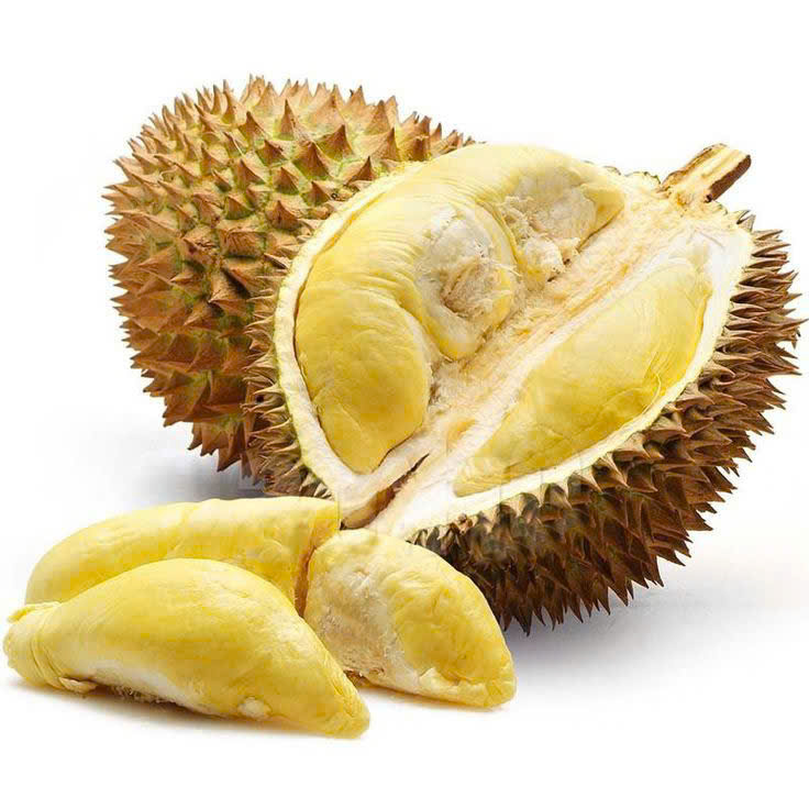 Sầu Riêng Truyền Thống